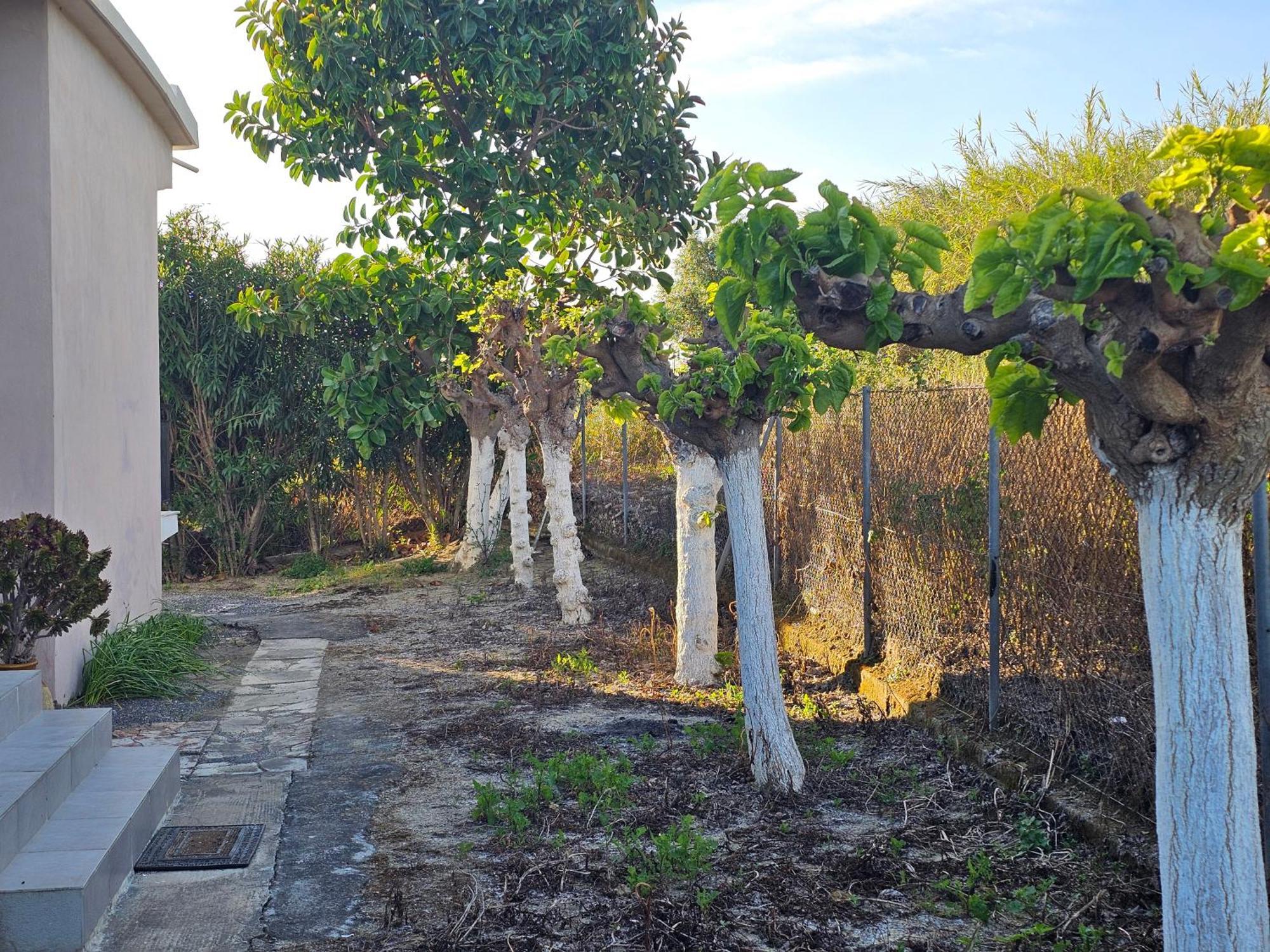 Villa Country Side House Koróni Exterior foto